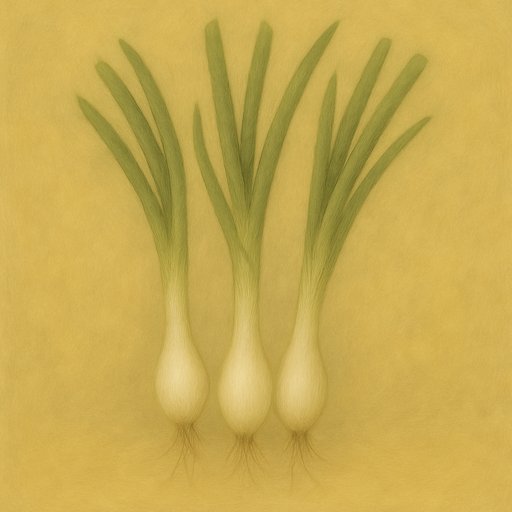 SPRING ONION - "WHITE LISBON" - 800 SEEDS