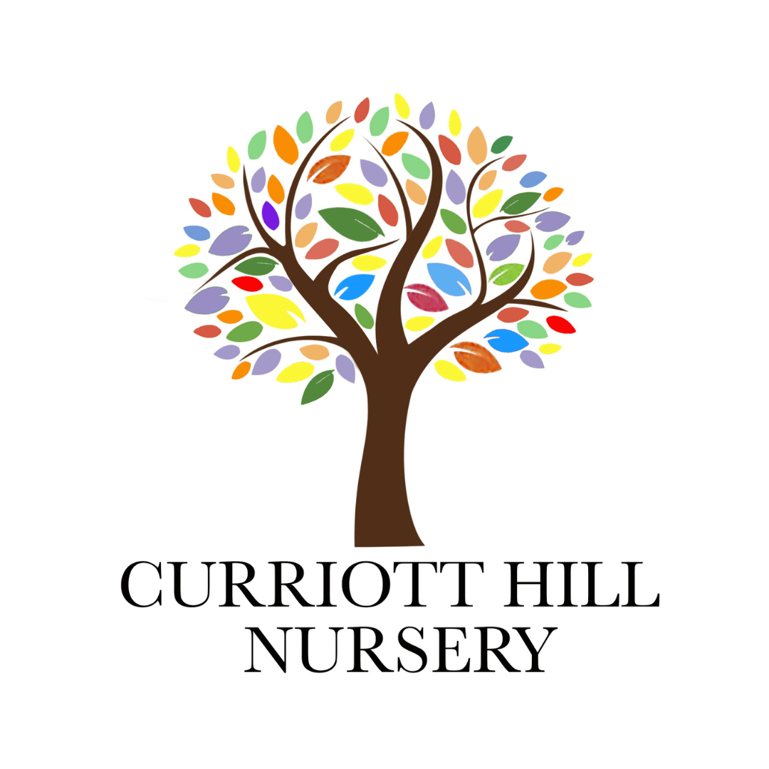 Broccoli purple sprouting tyrian F1 x 20 seeds