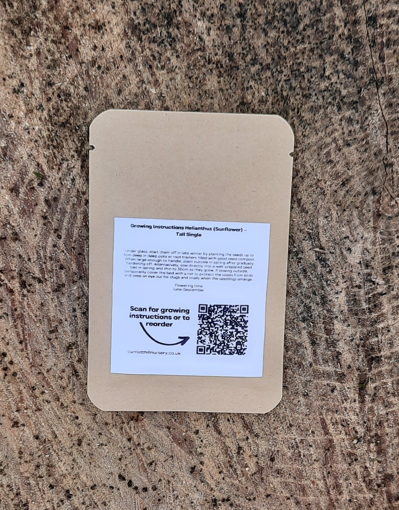 GROW YOUR OWN SUNFLOWER - GIFT