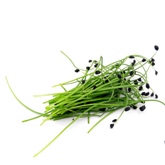 Micro Onion Shoots for Restaurants/Hotels