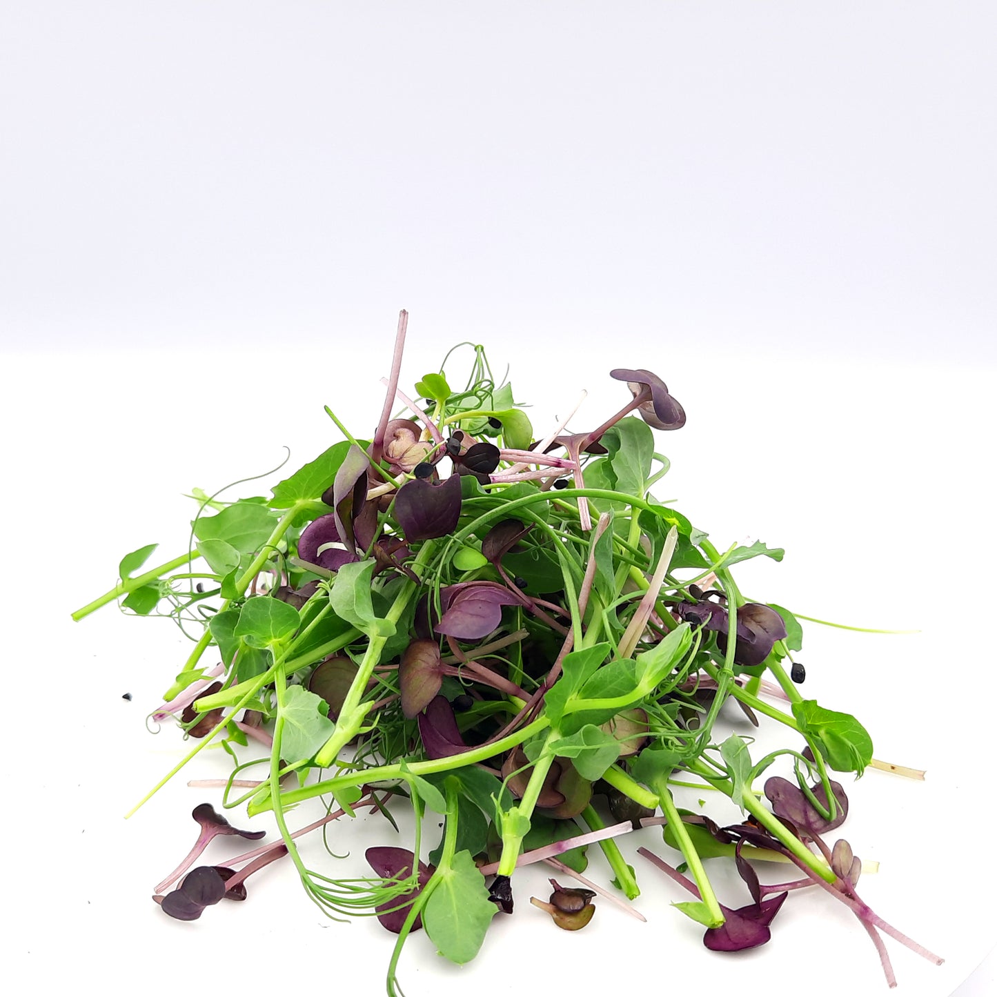 Freshly Harvested Microgreen Mix Perfect for Salads, Sandwiches and Any Meal!