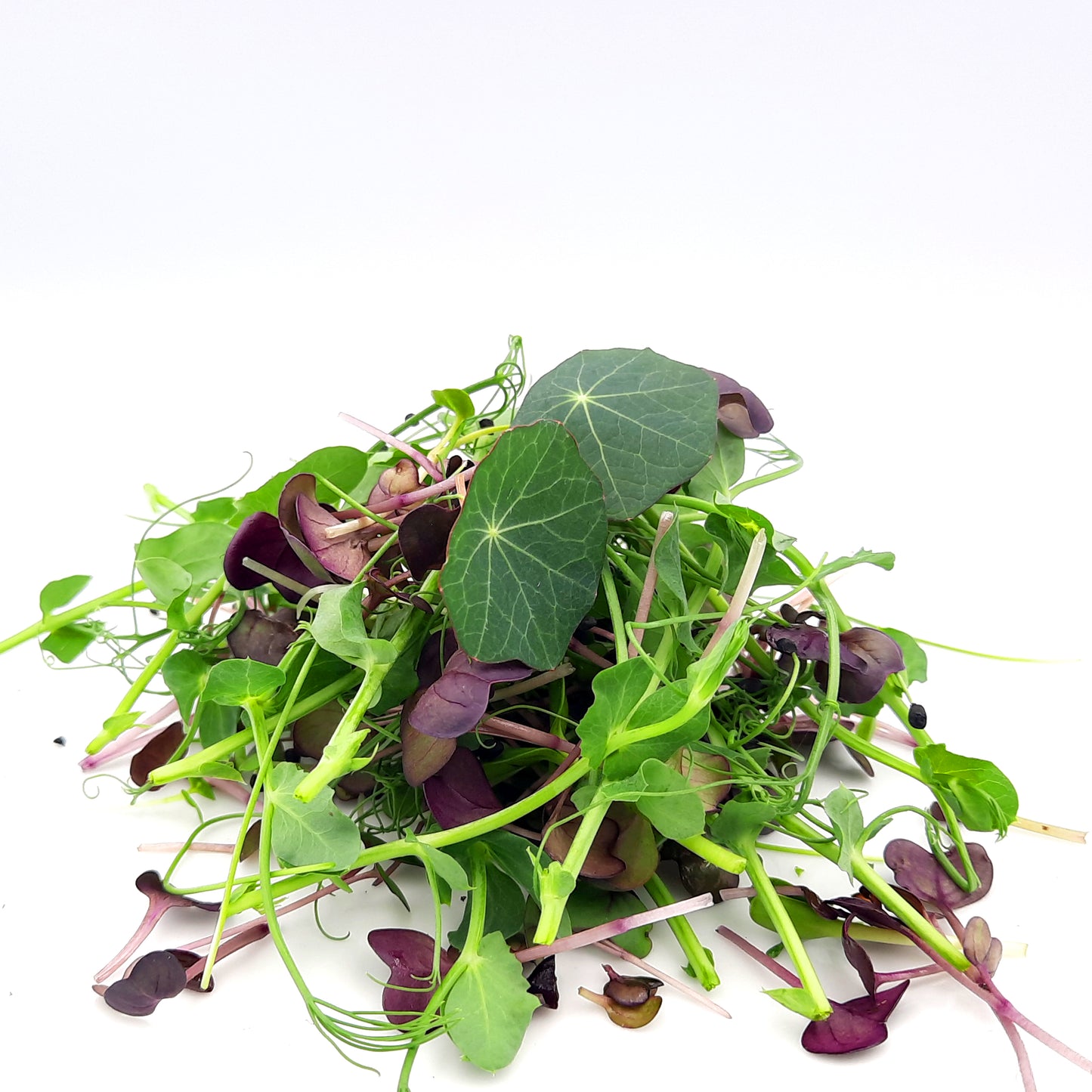 Micro-Herb Mix for Restaurants/Hotels.