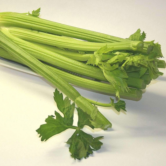 "Packet of Celery Tall Utah Seeds – high-yield, easy-to-grow celery variety for crisp, flavourful stalks in gardens or containers."