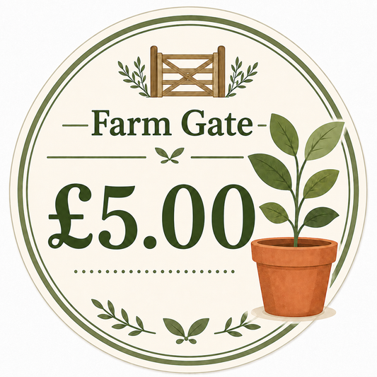 £5.00 plant