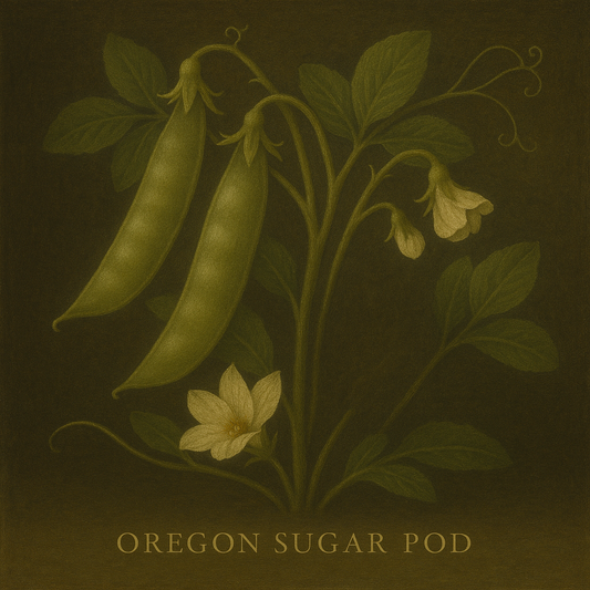 Pea Oregon Sugar Pod Seeds – Sweet Mangetout