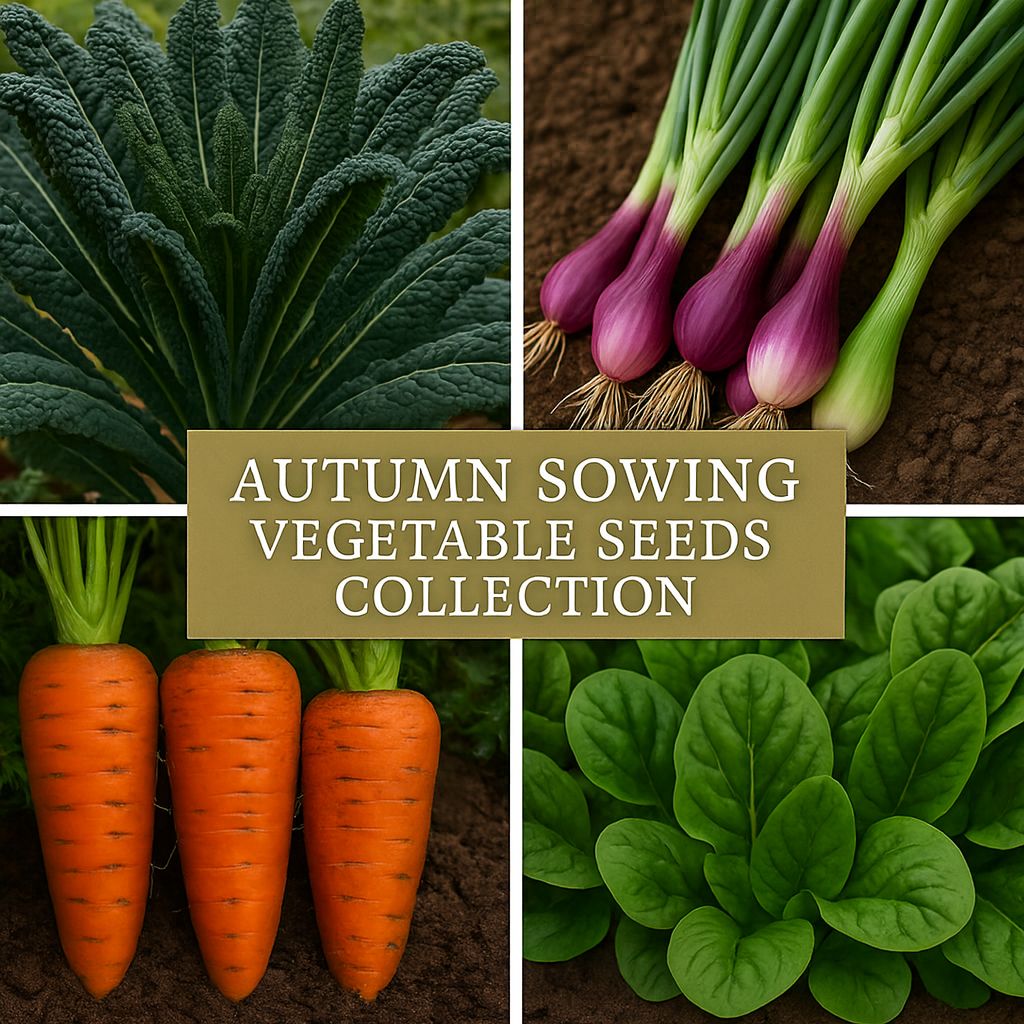 “Autumn and winter vegetable seed bundle including kale, spinach, carrot and spring onion for UK gardens”