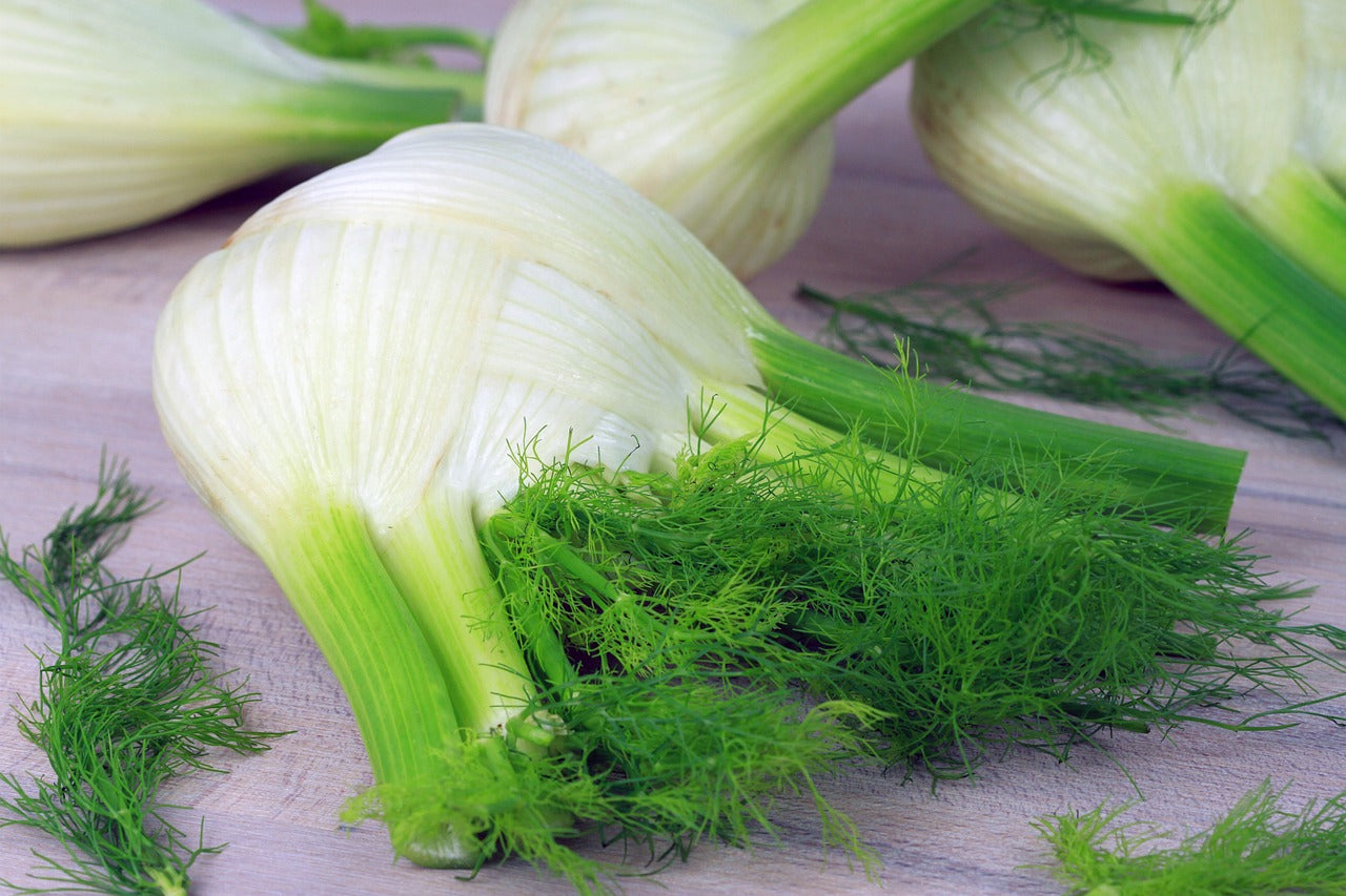 "Packet of Fennel Romanesco Seeds - heirloom variety featuring unique bulbous heads, perfect for adding a gourmet touch to salads, soups, and roasted dishes."