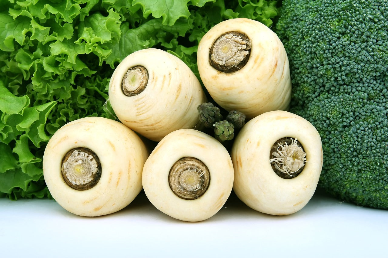 "Packet of Parsnip Gladiator F1 Seeds – high-yield, disease-resistant variety with a sweet, nutty flavour; ideal for roasting, mashing, and soups in UK gardens.