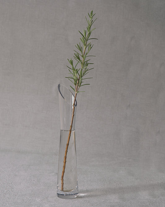Rosemary — Fresh Cut Stems