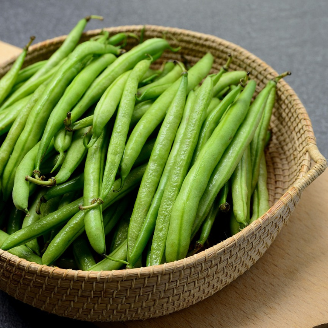 DWARF FRENCH BEAN TENDERGREEN SEEDS x 150