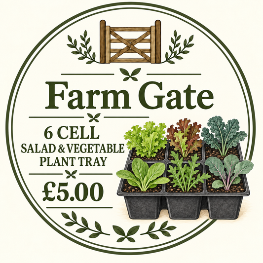 Curriott Hill Farm Gate 6-cell salad and vegetable plant tray, £5