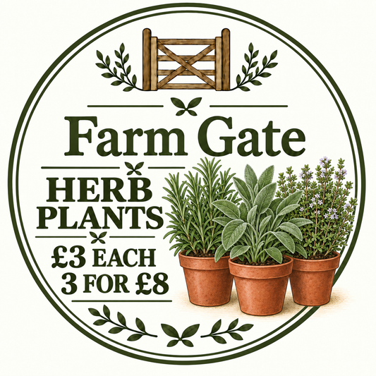 Curriott Hill Farm Gate herb plants, £3 each or 3 for £8