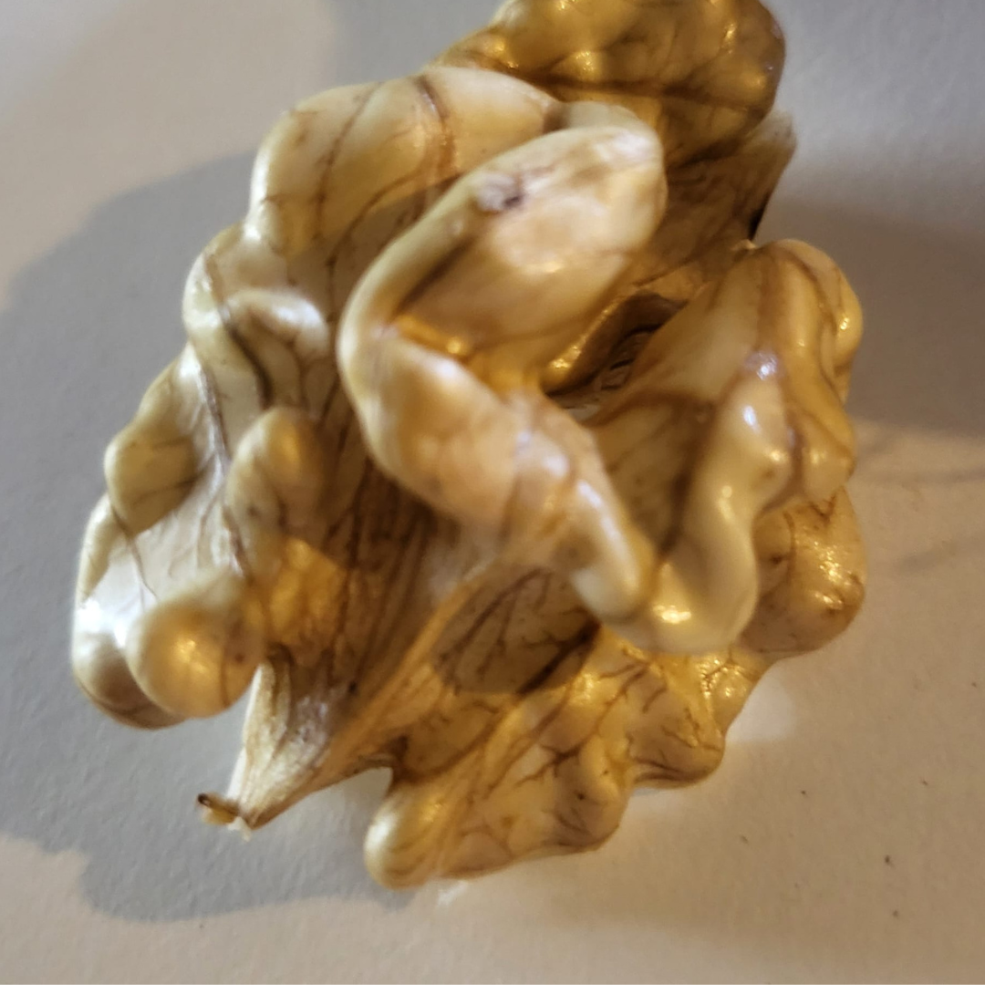 close up image of a shelled walnut