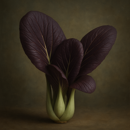 “Pak choi F1 seeds – fast-growing Asian leaf vegetable for UK gardens and containers”