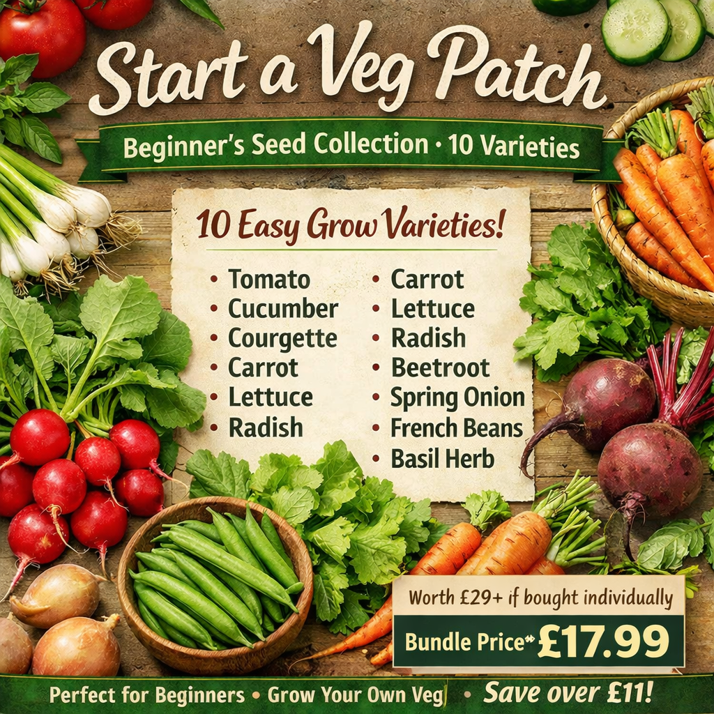 Start a vegetable patch seed kit with 10 easy-to-grow vegetable seeds for beginners
