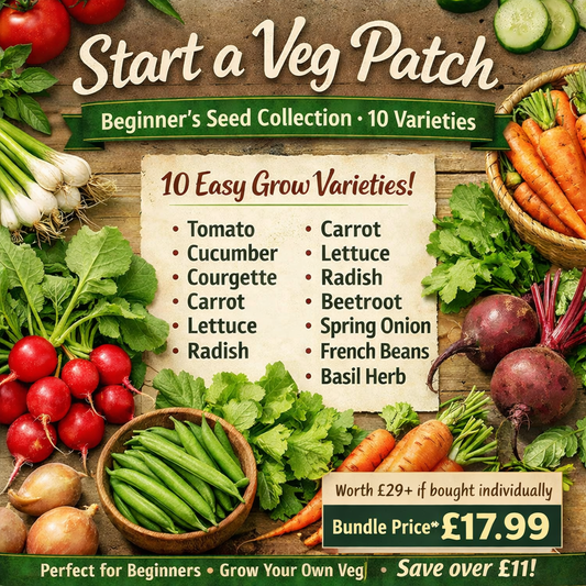 Start a vegetable patch seed kit with 10 easy-to-grow vegetable seeds for beginners