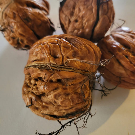 Close-up of a group of walnuts on a light background