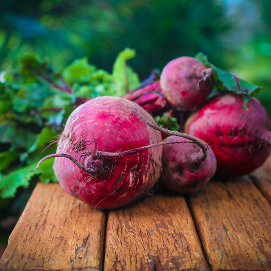 Beetroot boltardy, a classic beetroot, how to sow beetroot, when to harvest beetroot, how to grow beetroot boltardy UK