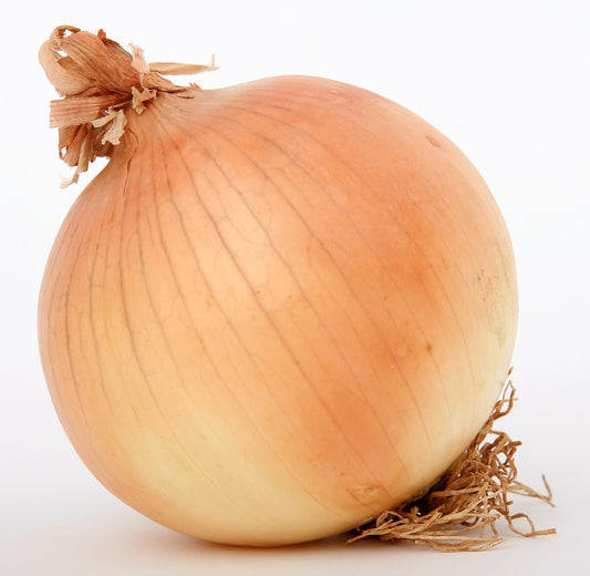 ONION SEED - "KEEP WELL" - 200 SEEDS