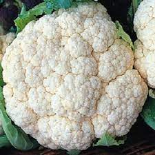 cauliflower seeds, cauliflower snowball, when to sow cauliflower in the Uk, how to grow cauliflower, when to harvest cauliflower, 