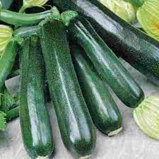 courgette seeds, how to grow courgettes from seeds, when to sow courgette seeds, when to harvest courgettes , courgette germination time, vegetable seeds, 